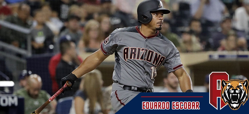 Prensa Tigres de Aragua