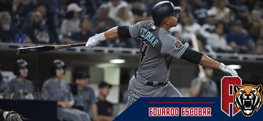 Prensa Tigres de Aragua