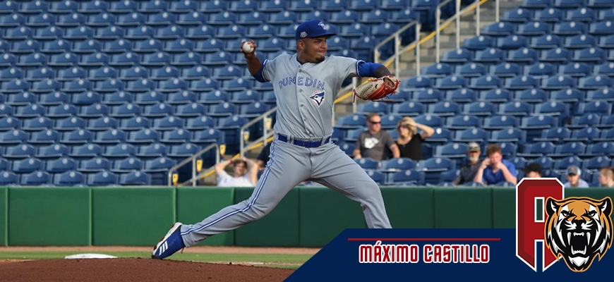 Prensa Tigres de Aragua