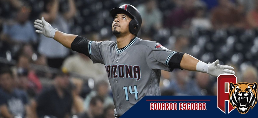 Prensa Tigres de Aragua