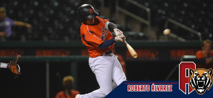 Prensa Tigres de Aragua