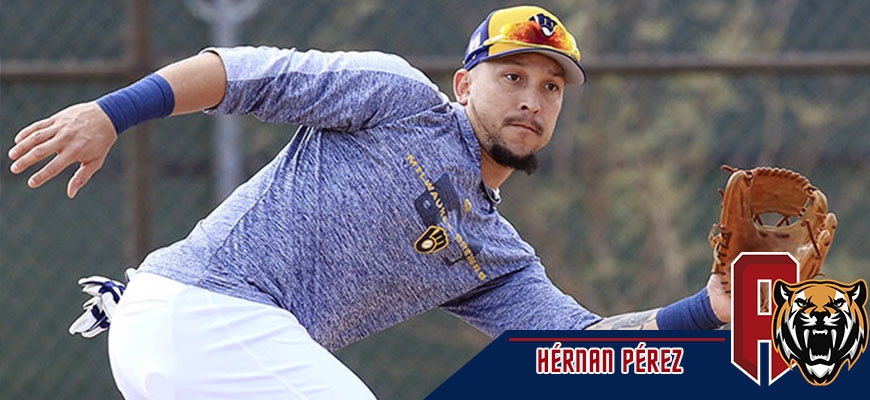 Prensa Tigres de Aragua