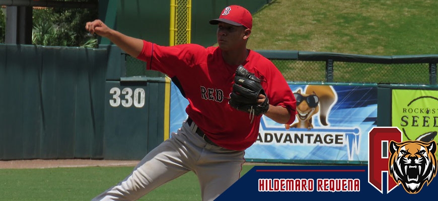 Prensa Tigres de Aragua