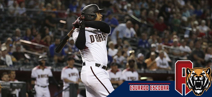 Prensa Tigres de Aragua