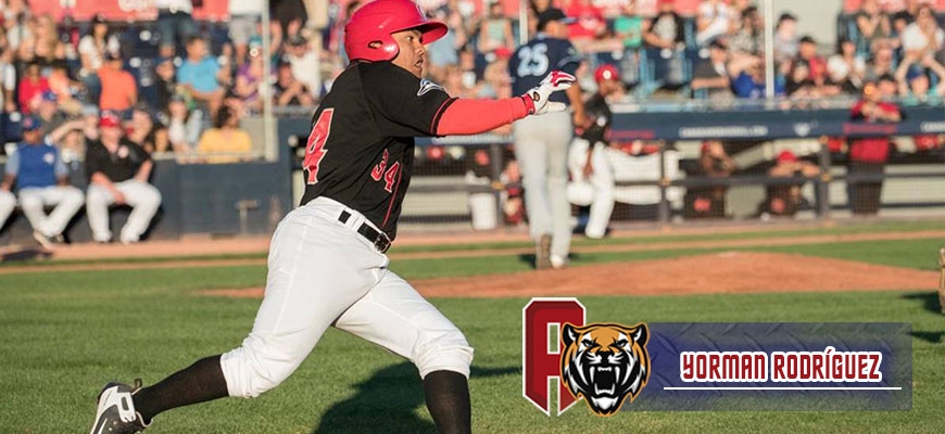 Prensa Tigres de Aragua