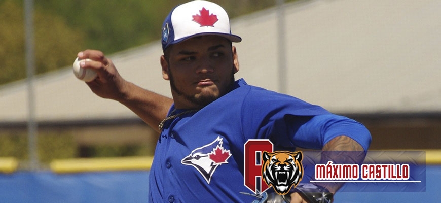 Prensa Tigres de Aragua