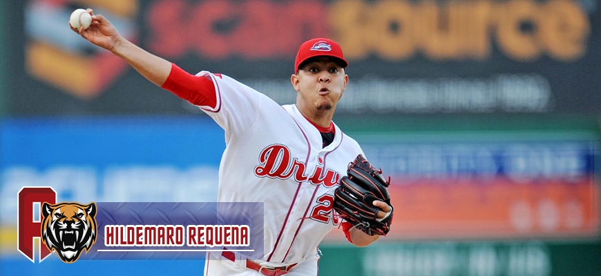 Prensa Tigres de Aragua