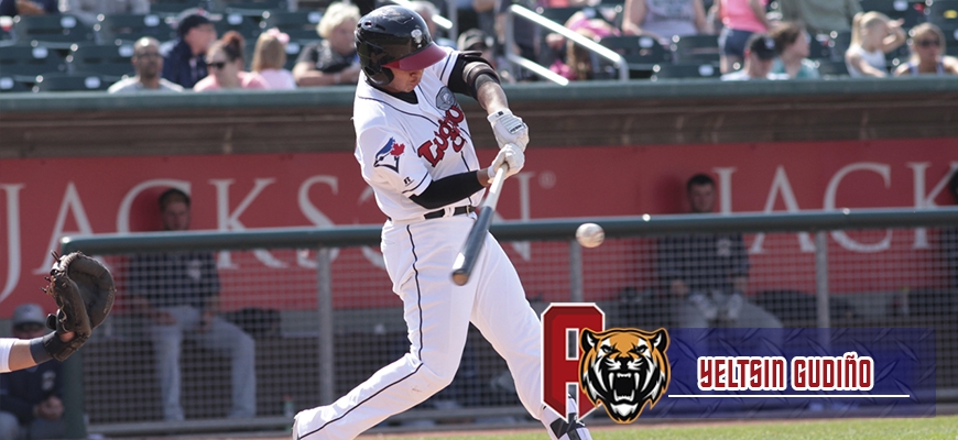 Prensa Tigres de Aragua