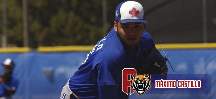 Prensa Tigres de Aragua