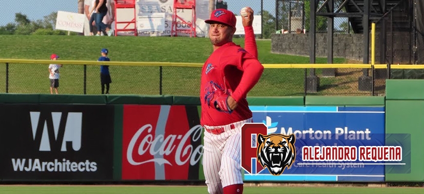 Prensa Tigres de Aragua