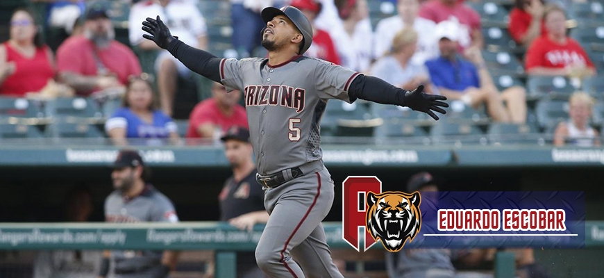 Prensa Tigres de Aragua