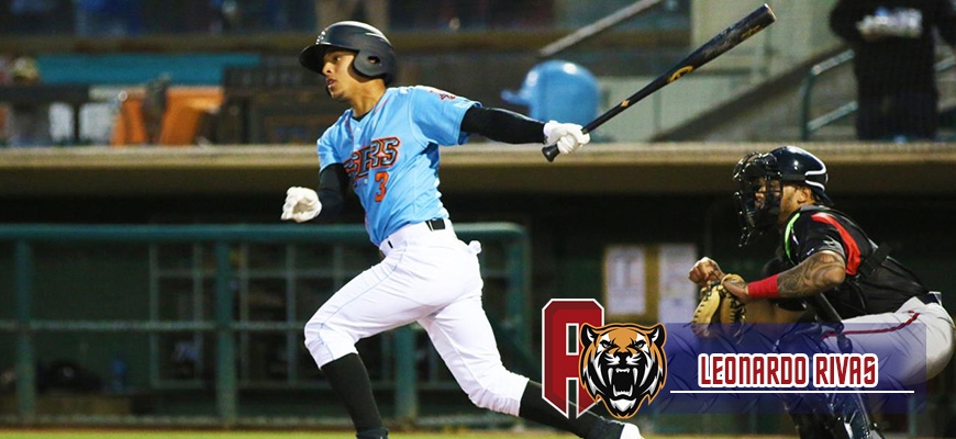 Prensa Tigres de Aragua