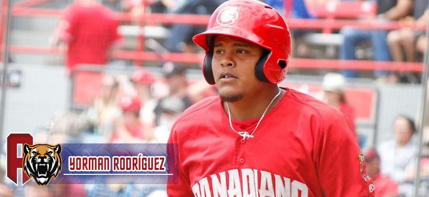 Prensa Tigres de Aragua