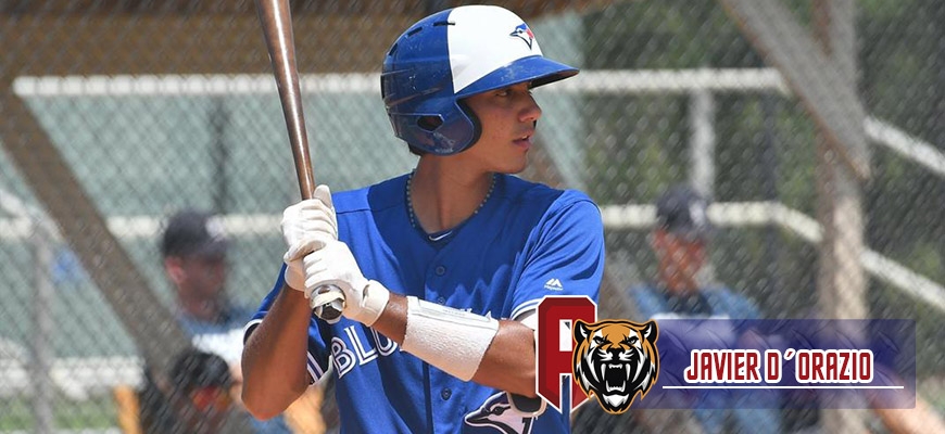 Prensa Tigres de Aragua