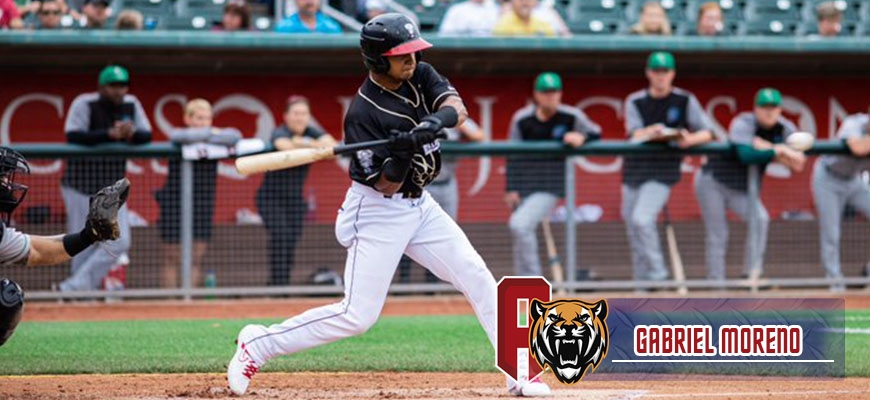 Prensa Tigres de Aragua