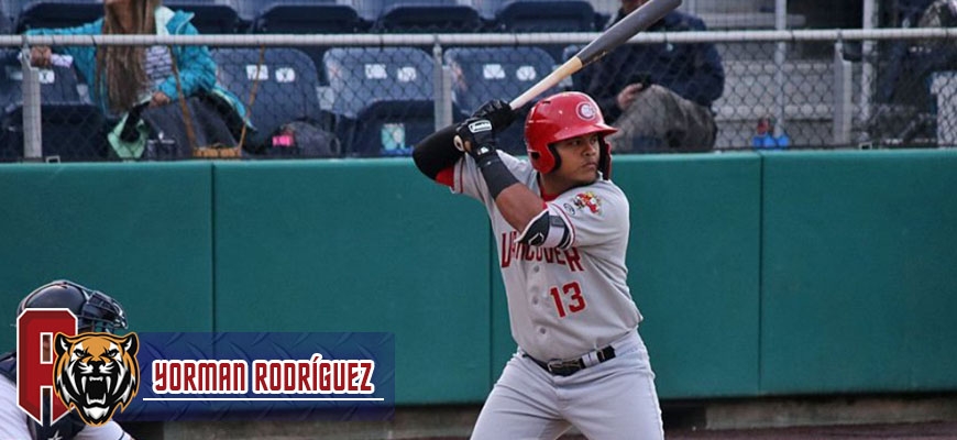 Prensa Tigres de Aragua