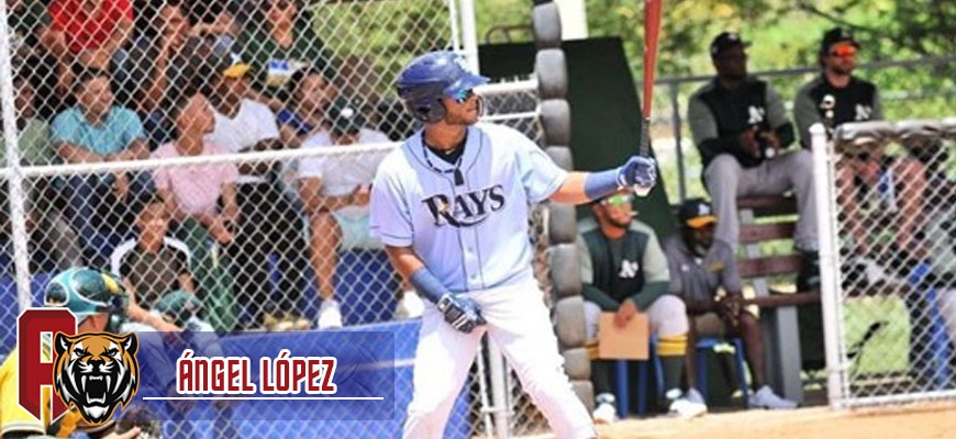 Prensa Tigres de Aragua