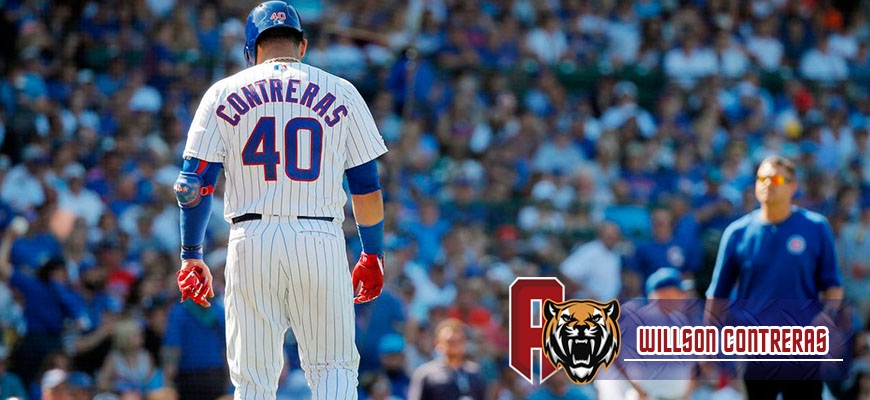 Prensa Tigres de Aragua