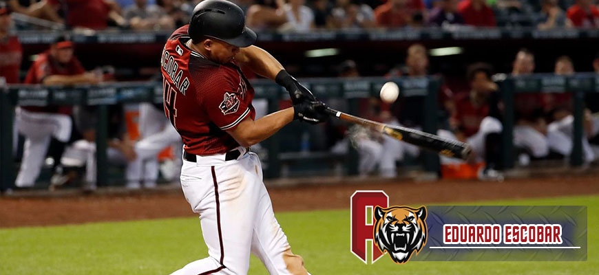 Prensa Tigres de Aragua