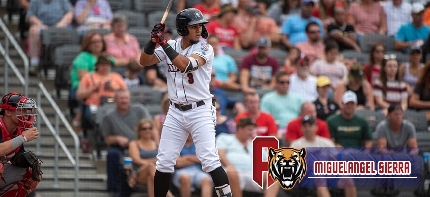 Prensa Tigres de Aragua