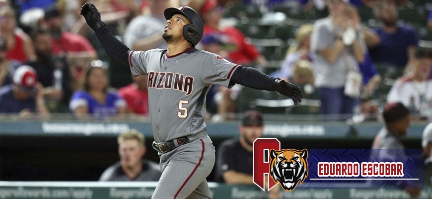 Prensa Tigres de Aragua