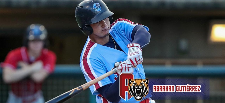 Prensa Tigres de Aragua