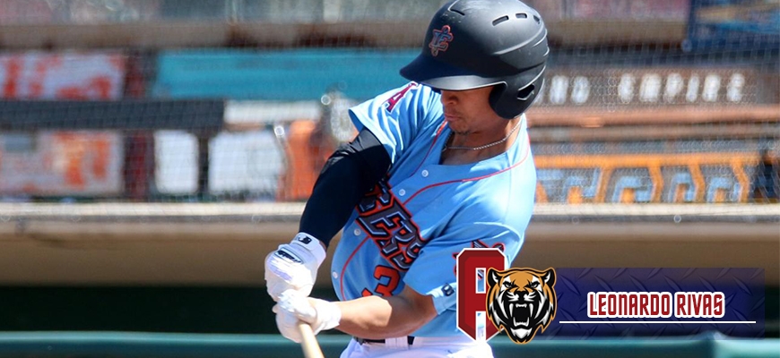 Prensa Tigres de Aragua