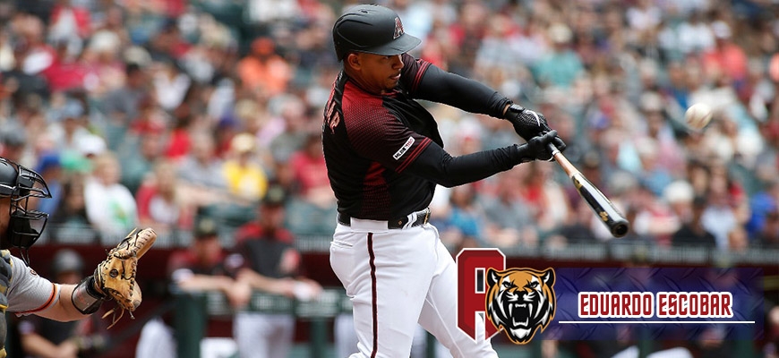 Prensa Tigres de Aragua