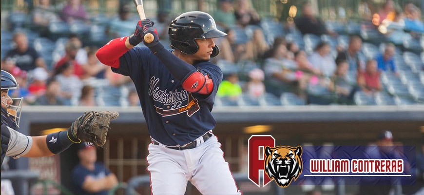 Prensa Tigres de Aragua