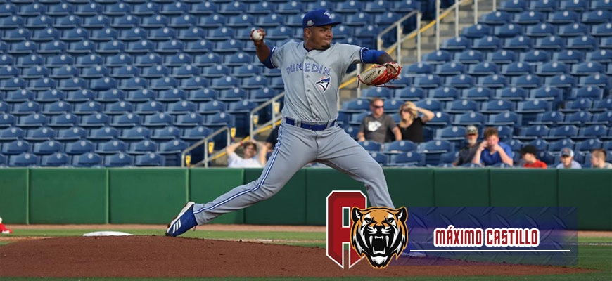 Prensa Tigres de Aragua