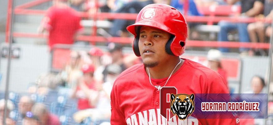 Prensa Tigres de Aragua