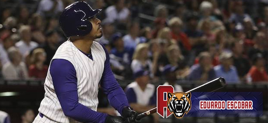 Prensa Tigres de Aragua