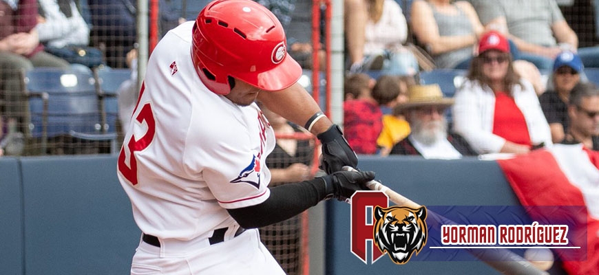 Prensa Tigres de Aragua