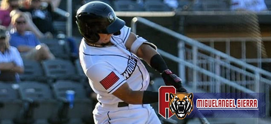 Prensa Tigres de Aragua