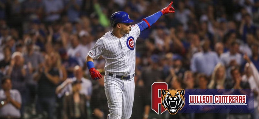 Prensa Tigres de Aragua