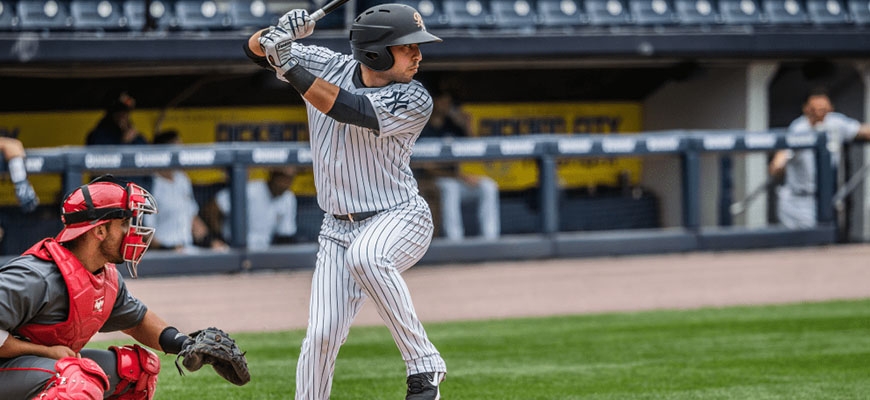 Prensa Tigres de Aragua