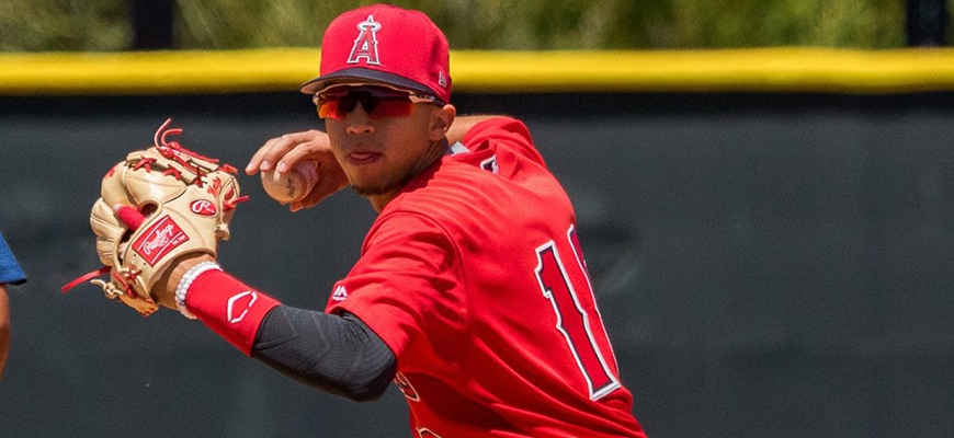 Prensa Tigres de Aragua