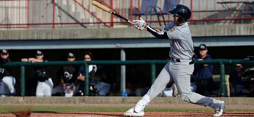 Prensa Tigres de Aragua