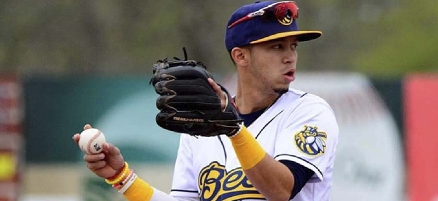 Prensa Tigres de Aragua