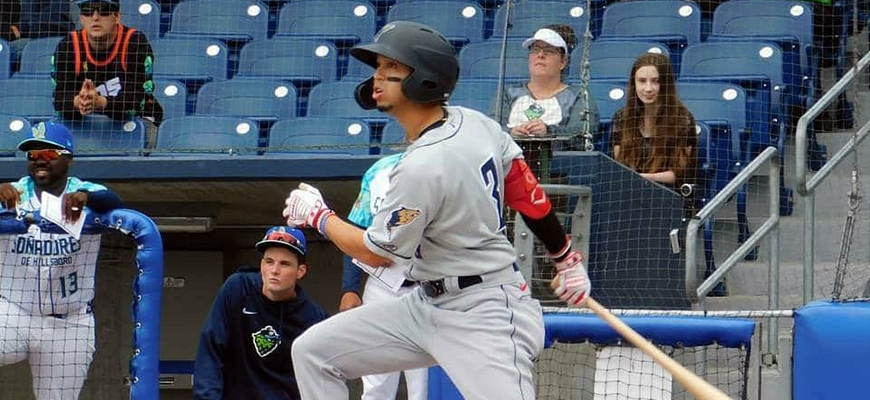 Prensa Tigres de Aragua