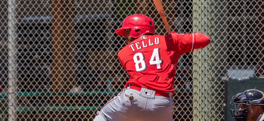 Prensa Tigres de Aragua