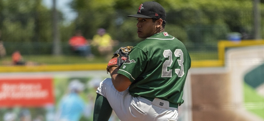 Prensa Tigres de Aragua