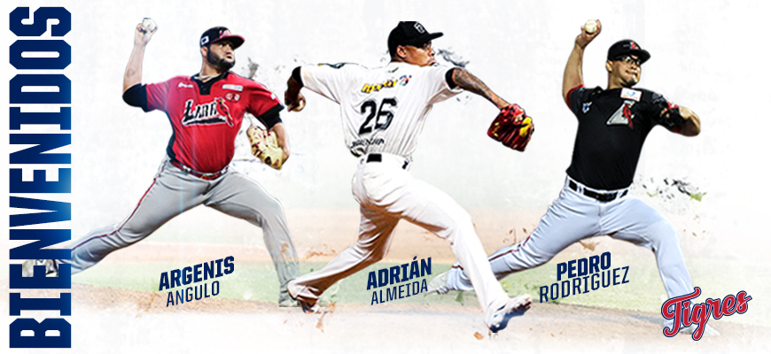 Prensa Tigres de Aragua