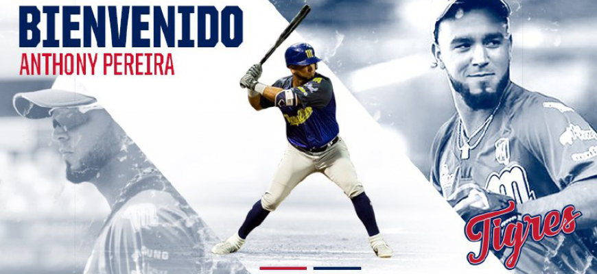 Prensa Tigres de Aragua