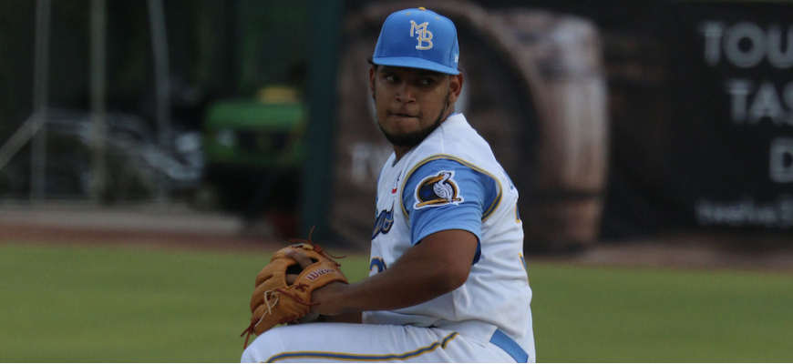 Myrtle Beach Pelicans 