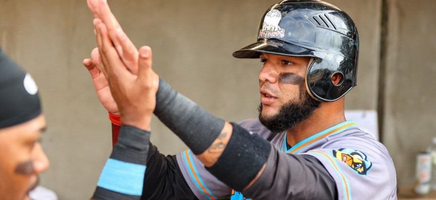 Charleston Dirty Birds