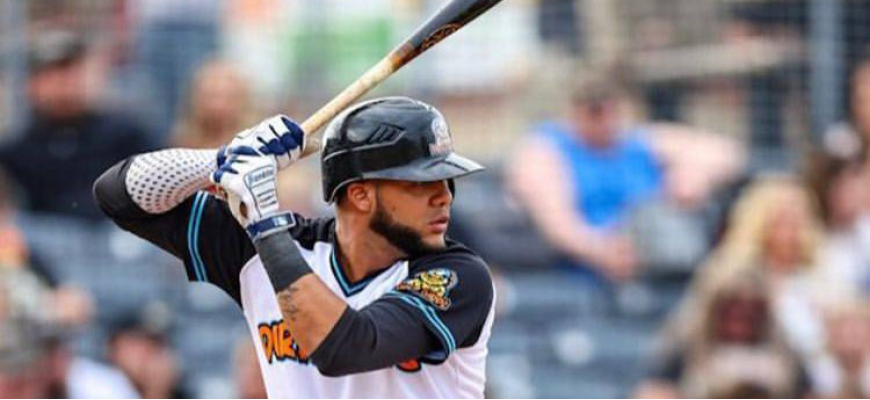 Charleston Dirty Birds