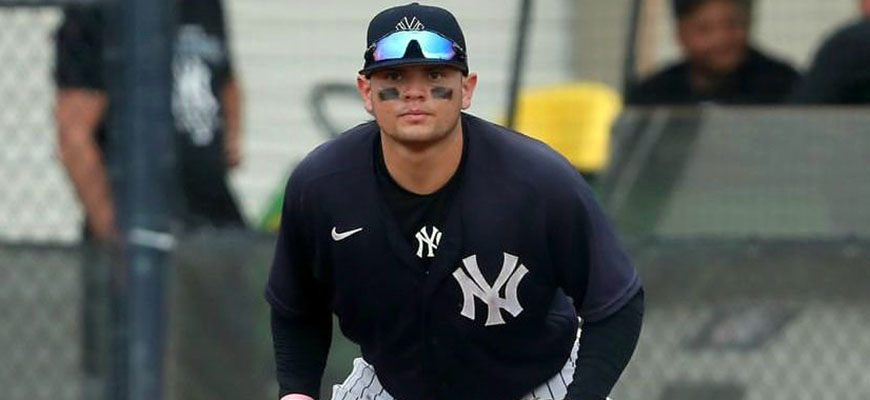 Prensa Tigres de Aragua