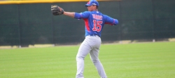 La esperanza de los Cachorros